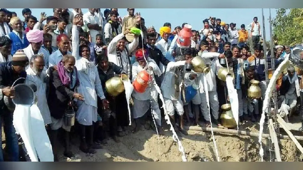 Rajasthan News: राजस्थान में गजब की श्रद्धा, मंदिर की नींव भराई में डाला 11 हजार लीटर दूध, दही और देसी घी