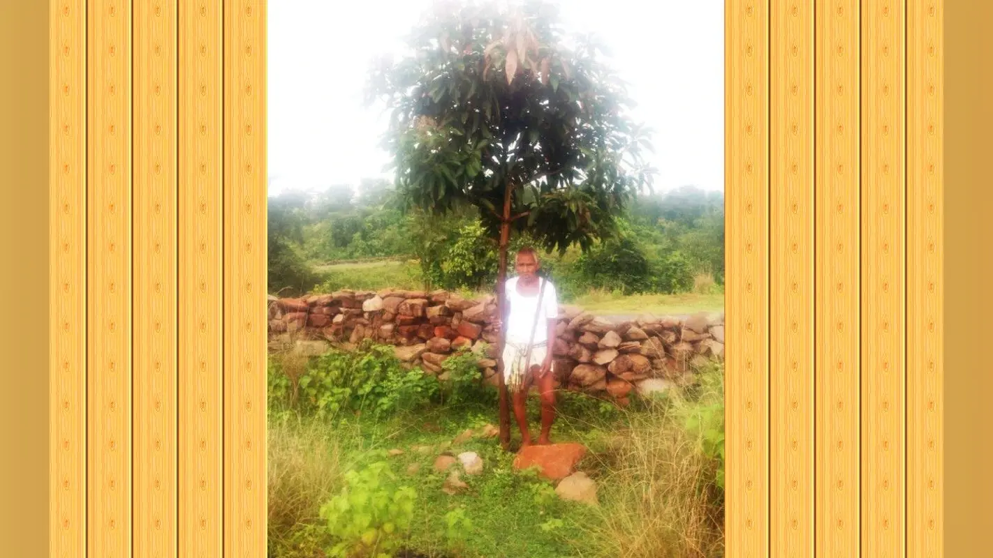 झारखंड : रामगढ़ के राम दयाल महतो के सड़क किनारे पौधे लगाने का जुनून, अब तक 400 से अधिक पेड़ लगाये