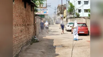 झेलेबिलिटी के टेस्ट