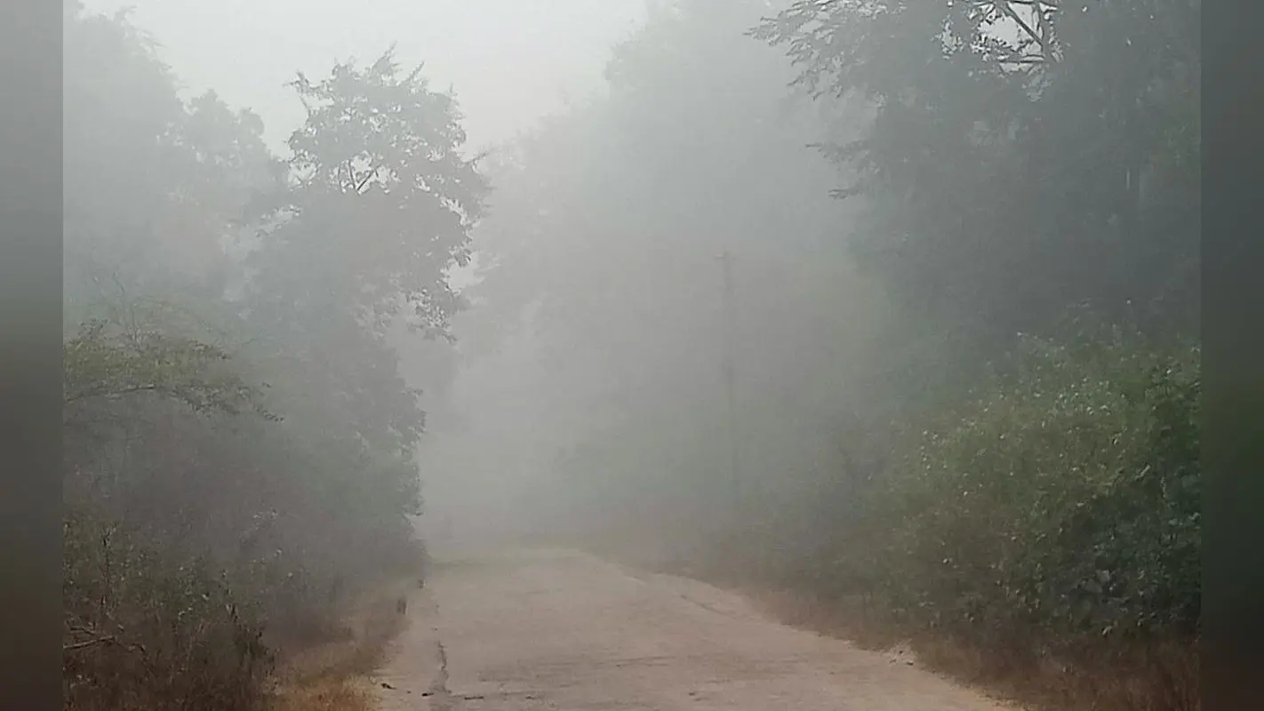 Jharkhand Weather Forecast News: झारखंड में अभी कोहरे से नहीं मिलेगी राहत, हल्की बारिश की भी है संभावना
