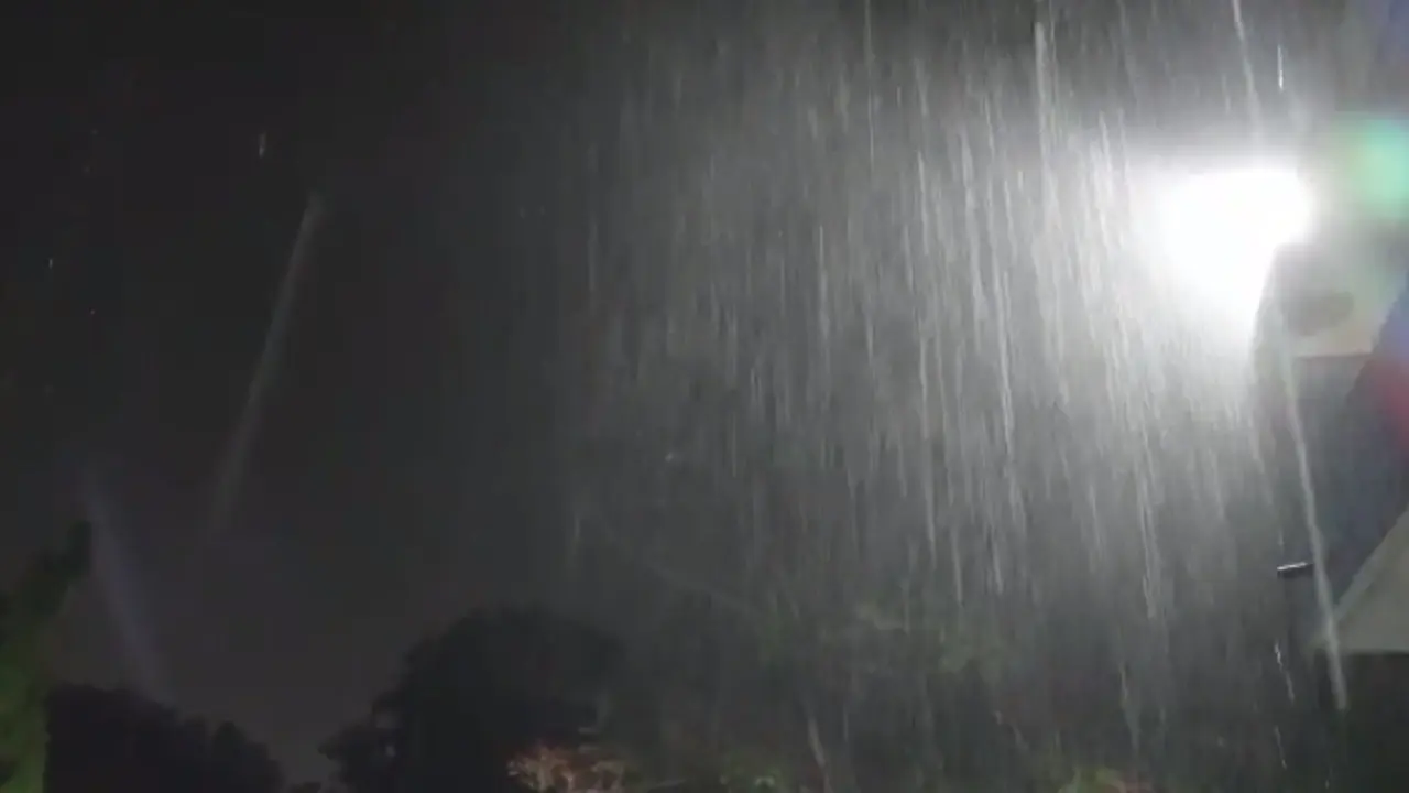 गोरखपुर में हुई बेमौसम बारिश ने अन्नदाताओं के अरमानों पर फेरा पानी, खेतों में ही नहीं दिलों पर भी गिरे ओले