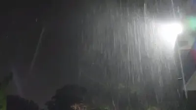 गोरखपुर में हुई बेमौसम बारिश ने अन्नदाताओं के अरमानों पर फेरा पानी, खेतों में ही नहीं दिलों पर भी गिरे ओले