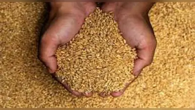 खाद्यान्न उत्पादन की चुनौतियां
