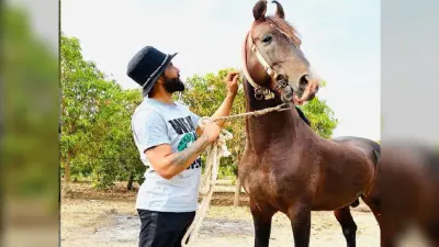 इंग्लैंड दौरे से पहले रविंद्र जडेजा ले रहे घुड़सवारी का आनंद, VIDEO पर कमेंट कर ट्रोल हो गये माइकल वॉन