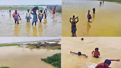 मधेपुरा में कोसी व घघरी नदी उफान पर, निचले इलाकों में फैलने लगा बाढ़ का पानी, पलायन करने लगे लोग