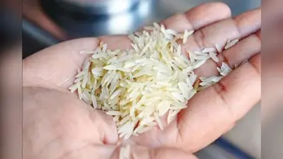 विधानसभा में भाजपा विधायक तापसी मंडल ने लगाया आरोप, राशन दुकानों में बांटे जा रहे प्लास्टिक चावल