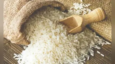 Rice Scam Case: 35 करोड़ रुपये के 1.76 लाख क्विंटल चावल का गबन, बिहार के छह राईस मिलरों पर केस, एक को शोकॉज