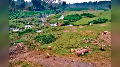 चतरा में हर रोज सिमट रहा बलबल महाने नदी का दायरा, कभी बिखेरती थी अपना सौंदर्य