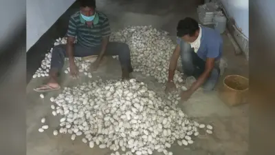 उद्योग विभाग के अधिकारियों ने कोल्हान समेत पूरे राज्य में रेशम उत्पादन बढ़ाने पर किया मंथन