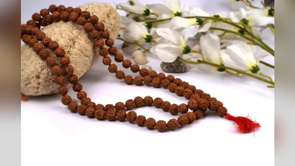 रुद्राक्ष दूर करता है जीवन की ये समस्याएं, जानें रुद्राक्ष को धारण करने के फायदे