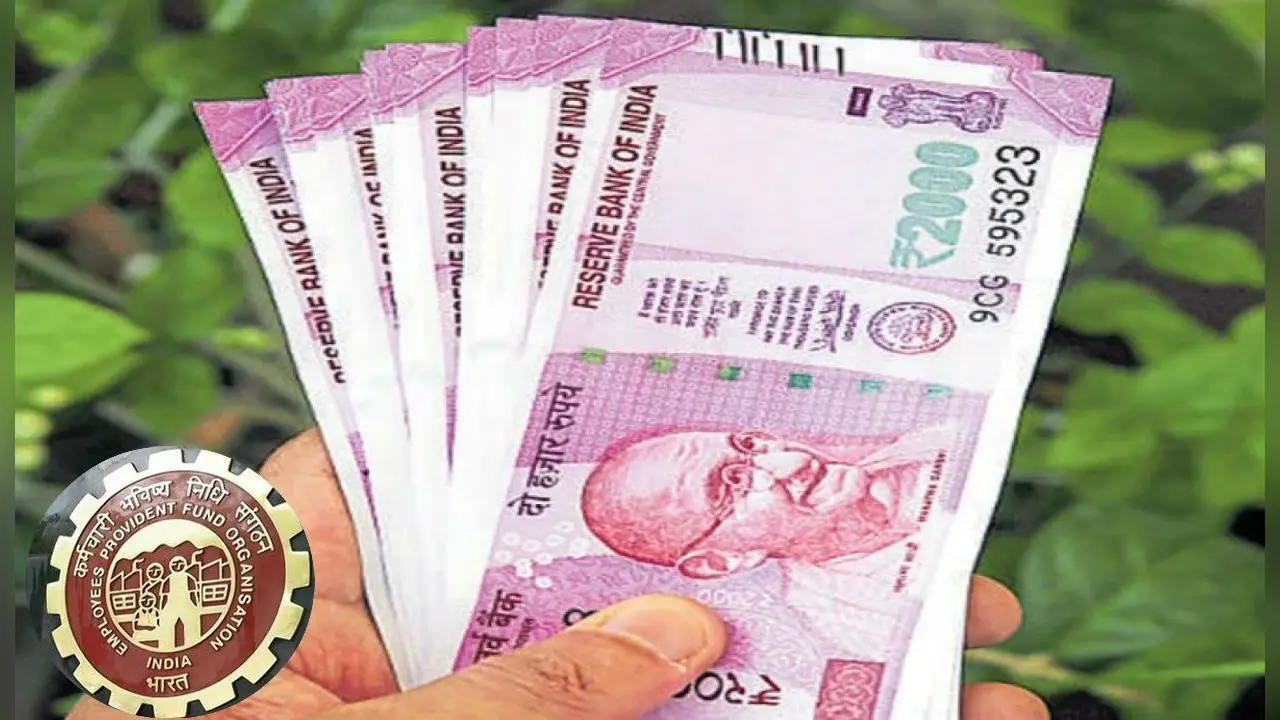 EPF से जुड़े कर्मचारियों को अब Free मिलेगा 7 लाख रुपये तक का बीमा लाभ, जानिए कैसे मिलेगा फायदा…