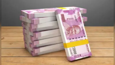 PPF Vs MF : लॉन्ग टर्म के प्लान में निवेश करके जुटा सकते हैं लाखों की मोटी रकम, ऐसे कीजिए कैलकुलेशन