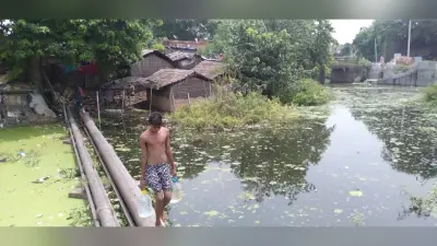 Jharkhand News : उफान पर गंगा, साहिबगंज शहर के निचले इलाके में घुसा बाढ़ का पानी