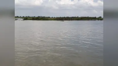 गंगा से गायब होतीं देसी मछलियां