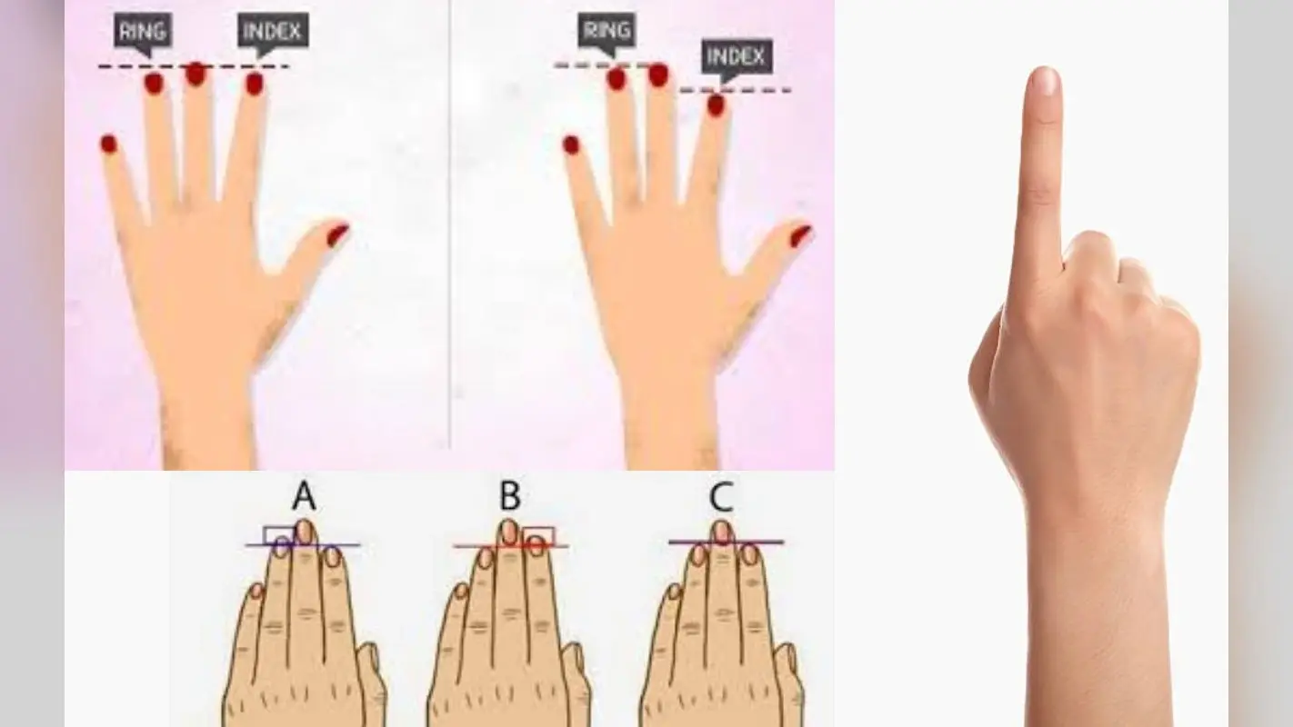 Personality Test : आपकी Index Finger की लंबाई खोलती है पर्सेनेलिटी के राज, जानिए क्या कहती है आपकी अंगुली