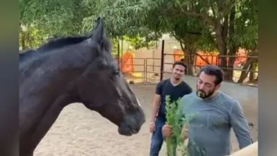 इस अफवाह पर भड़का सलमान खान का गुस्सा, बोले- कानूनी कार्रवाई की जाएगी