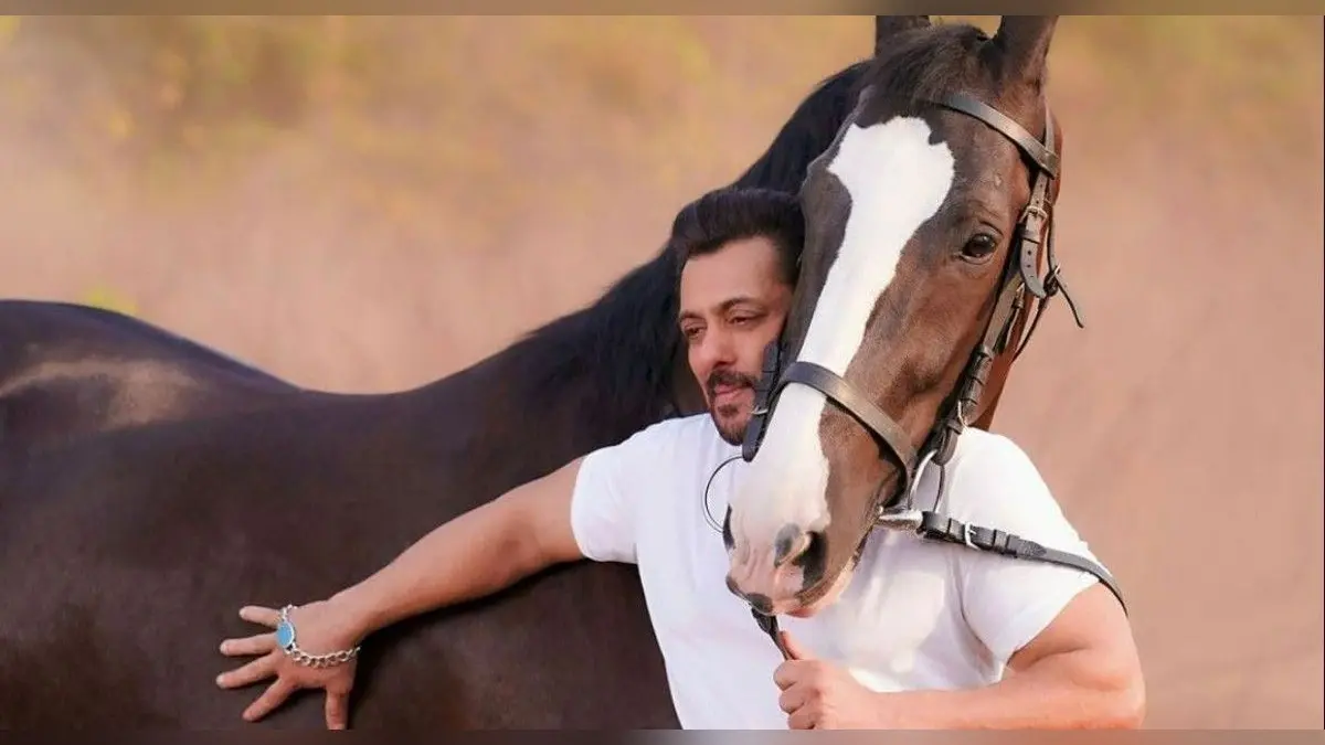 सलमान खान ने घोड़े के साथ शेयर की ये जबरदस्त तसवीर, फैंस ने कमेंट में लिखा- कड़क फोटो भाई…