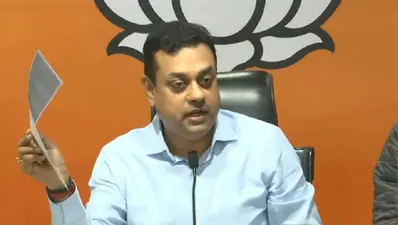 Delhi Excise Policy Row: बीजेपी का आरोप, केजरीवाल सरकार पूर्व LG अनिल बैजल को बना रही बलि का बकरा