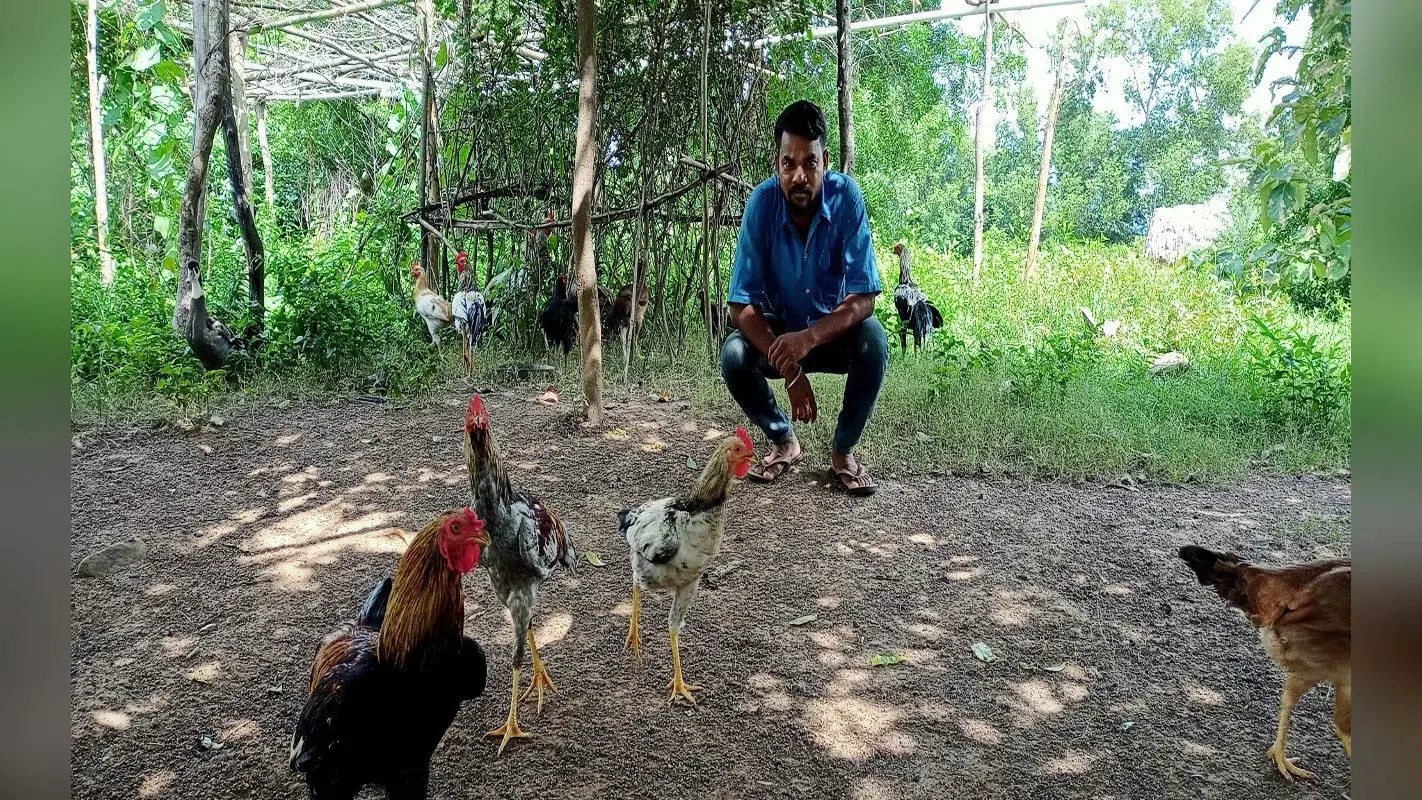 झारखंड : समेकित कृषि प्रणाली से पूरे साल आमदनी कर सकेंगे किसान, 2007 से संचालित है मॉडल