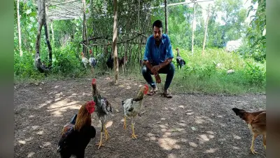 झारखंड : समेकित कृषि प्रणाली से पूरे साल आमदनी कर सकेंगे किसान, 2007 से संचालित है मॉडल
