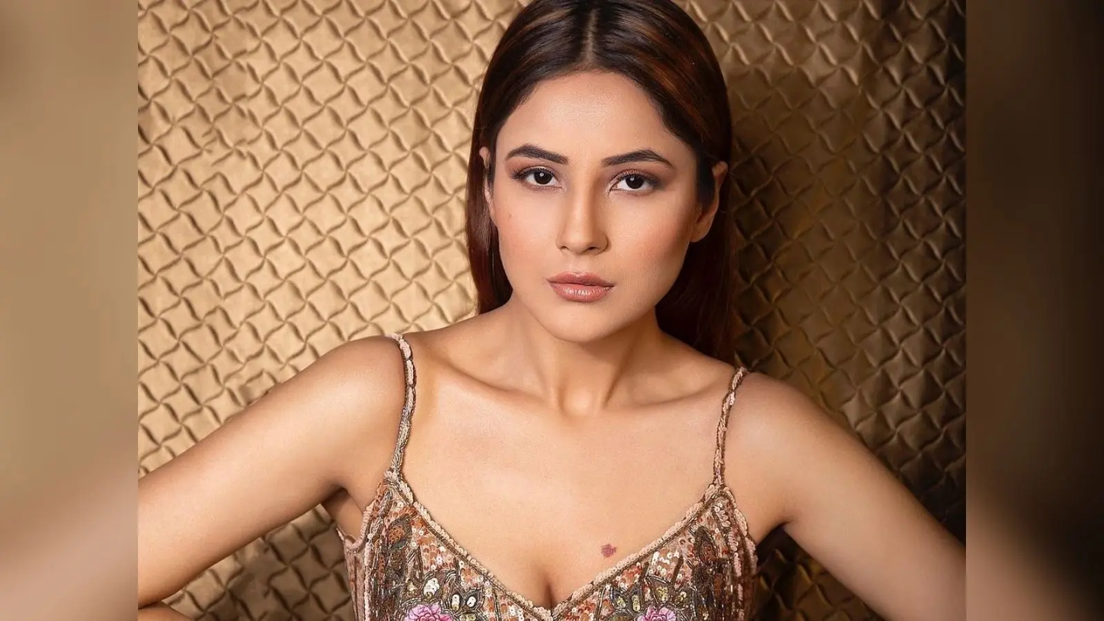 शहनाज गिल ने इस वजह से Katrina Kaif को बताया ‘पंजाब की कैटरीना कैफ’, सोशल मीडिया पर वीडियो वायरल