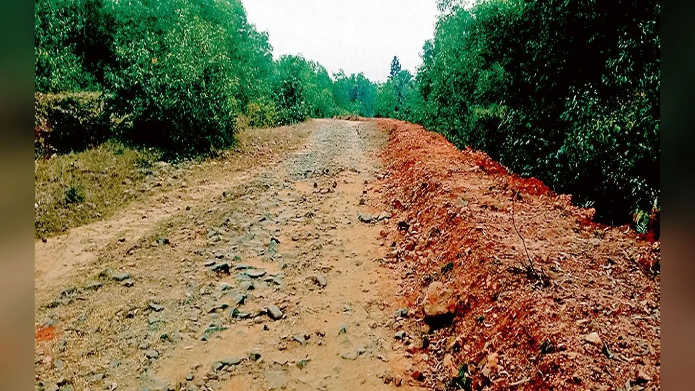 धनबाद : मनरेगा कार्य में गड़बड़झाला, BCCL की पक्की सड़क पर बना दी मिट्टी-मोरम वाली सड़क, पैसे भी निकाले