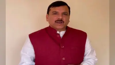 अमृतपाल सिंह की गिरफ्तारी पर संजय सिंह ने थपथपाई भगवंत मान सरकार की पीठ, कहा- AAP ने साबित किया