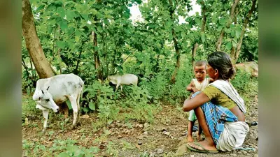संताल परगना (जंगलतराई) के पहाड़िया और घटवाल
