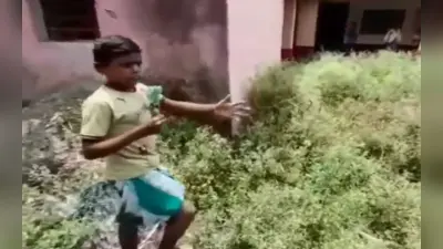 झारखंड के सरकारी स्कूल की बदहाली के Viral Video पर एक्शन, दो शिक्षक बर्खास्त, विद्यालय प्रबंधन समिति भंग