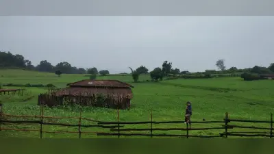 Jharkhand Weather Forecast: गणतंत्र दिवस पर कैसा रहेगा झारखंड के मौसम का मिजाज, खिलेगी धूप या होगी बारिश