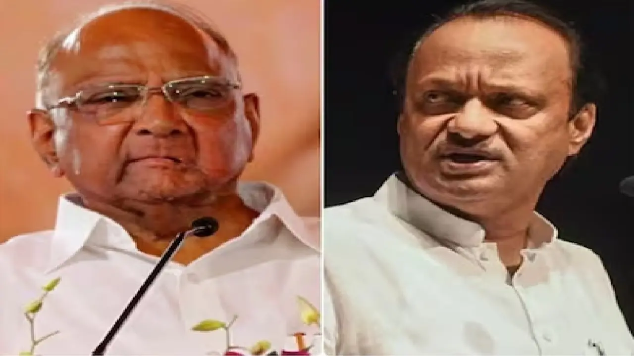 ‘यदि मैं बड़े नेता का बेटा होता, तो पार्टी पर मेरा कंट्रोल होता’, Ajit Pawar का बयान