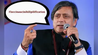 शशि थरूर ने टंग ट्विस्टर शब्द ‘floccinaucinihilipilification’ का किया इस्तेमाल, गूगल ट्रांसलेटर भी नहीं कर पा रहा ट्रांसलेट, सोशल मीडिया पर कुछ यूं बन रहा है मजाक