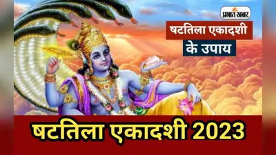 Shattila Ekadashi 2023 Ke Upay: षटतिला एकादशी पर जरूर करें ये उपाय, मिलेगा शुभ फल
