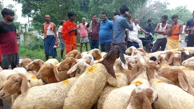 साहिबगंज जहाज हादसे में तीन और हाइवा गंगा से बरामद, अब तक लापता चालक का नहीं मिला सुराग