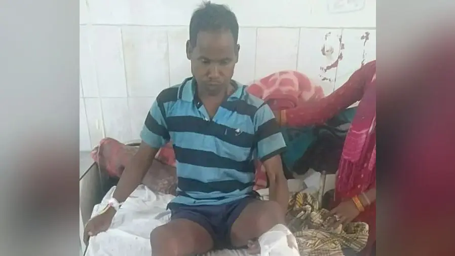 Jharkhand News : जंगल से गाय चराकर घर लौट रहे शख्स पर भालू का हमला, पेड़ से खींचकर किया जख्मी