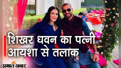 शिखर धवन और आयशा मुखर्जी का तलाक, कोर्ट ने माना पत्नी ने मानसिक क्रूरता की, बेटे से मिलने की इजाजत