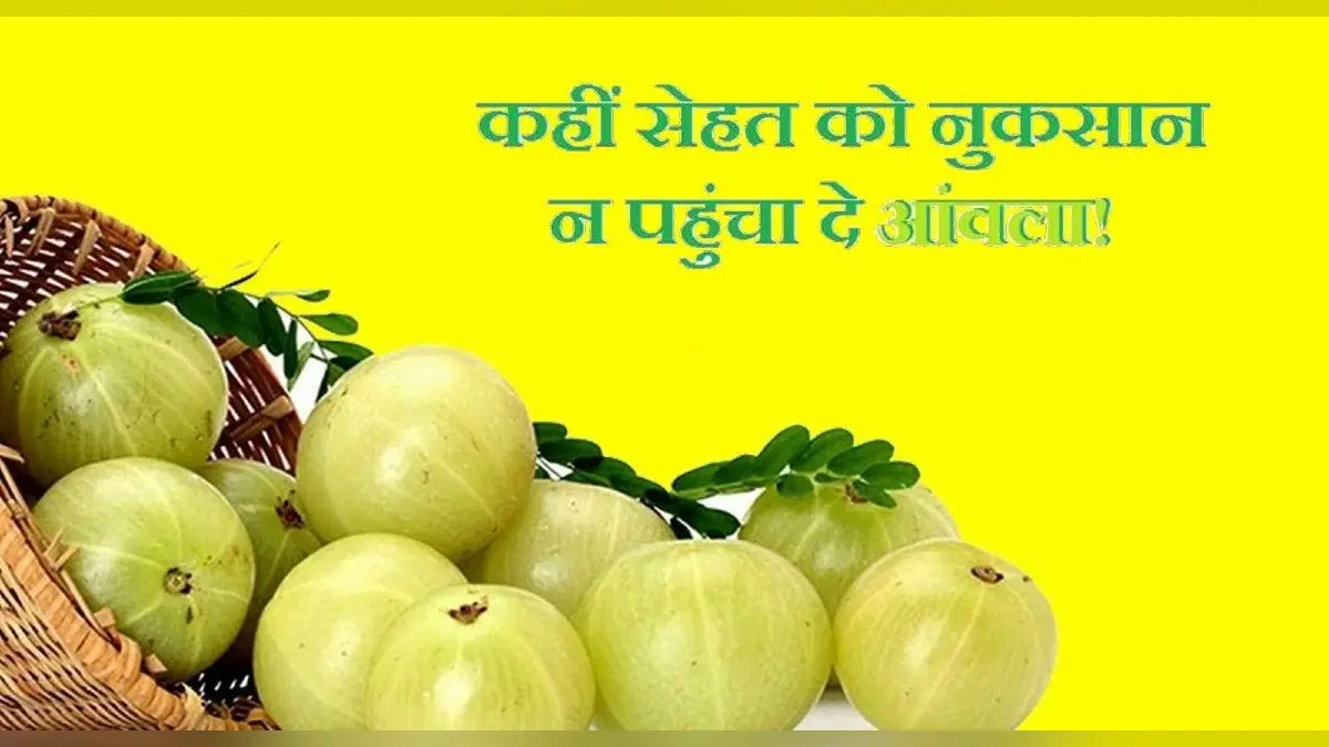 Side Effects Of Amla: अमृत से कम नहीं है आंवला, पर इसके इस तरह के सेवन से हो सकते हैं नुकसान