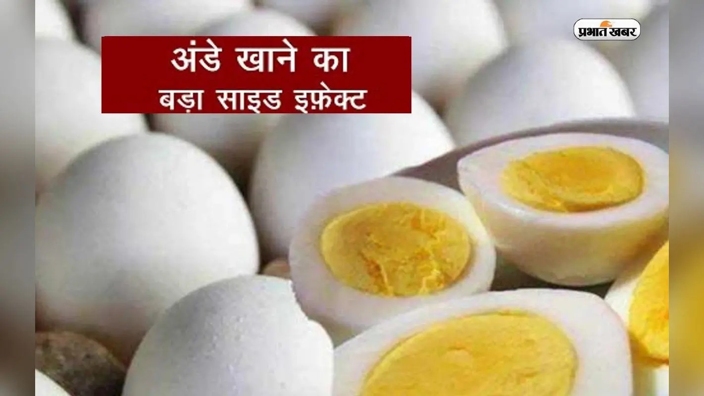 Health Tips: अगर सर्दियों में रोज खाते हैं अंडे तो हो सकता है ये नुकसान, होता है कोलेस्ट्रॉल बढ़ने का खतरा