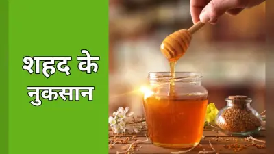 Side Effects Of Honey: शहद का करते हैं सेवन तो हो जाएं सावधान, दांतों और हड्डियों हो सकती हैं कमजोर