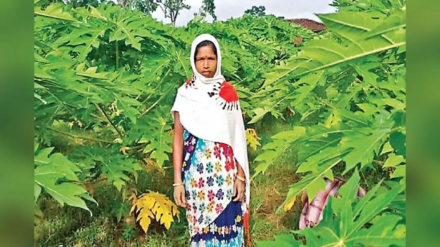 किसानों के लिए प्रेरणाश्रोत बनीं गुमली की सीता देवी, पपीता की खेती से बदली जिंदगी