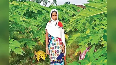 किसानों के लिए प्रेरणाश्रोत बनीं गुमली की सीता देवी, पपीता की खेती से बदली जिंदगी