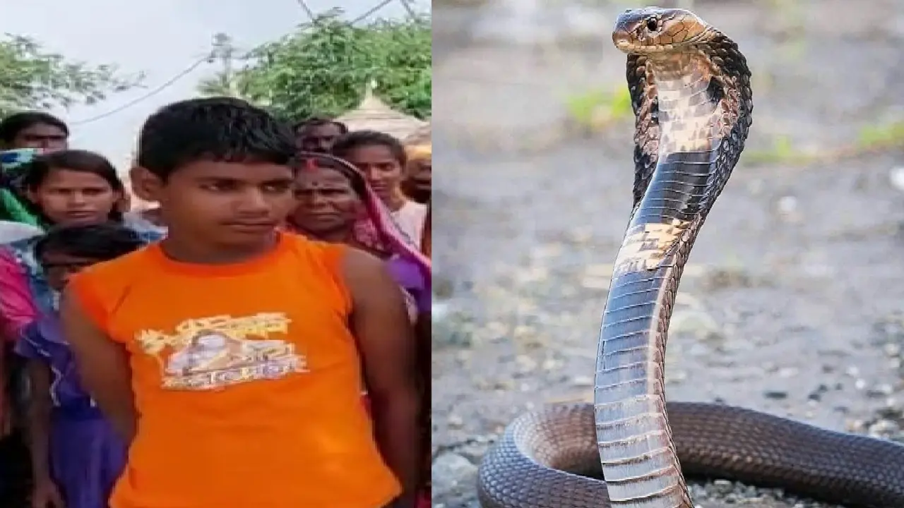 Bihar News : छपरा में पांच साल पहले मृत समझ कर जिसे नदी में बहाया वह बच्चा लौटा घर, परिजनों के छलके आंसू