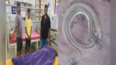 Snake Bite: सरायकेला में सांप काटने से 12 साल की बच्ची की मौत, परिजनों का रो-रोकर बुरा हाल