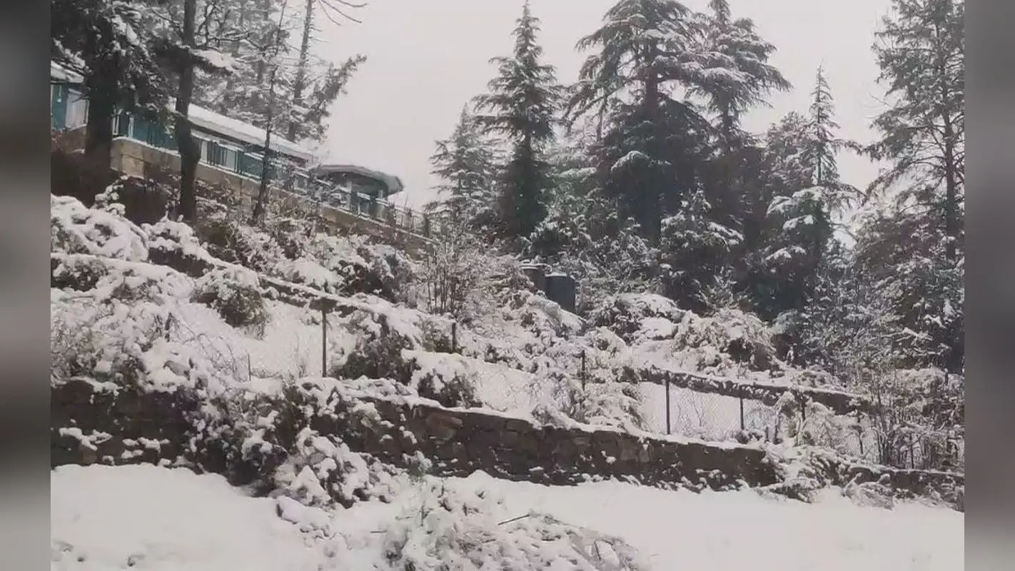 Snowfall In Srinagar: श्रीनगर में हो रही है बर्फबारी, देेखने को मिला मनोरम दृश्य, देखें Viral Photos