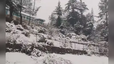 Snowfall In Srinagar: श्रीनगर में हो रही है बर्फबारी, देेखने को मिला मनोरम दृश्य, देखें Viral Photos