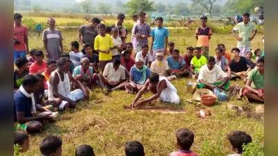 Sohrai Festival: सरायकेला-खरसावां के राजनगर में 5 दिन मनता है सोहराय पर्व, जानें इसकी विशेषता और परंपरा