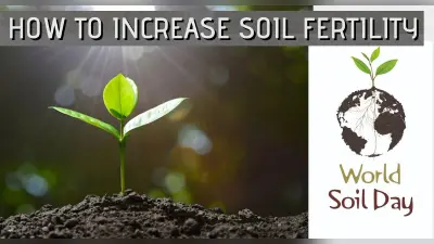 World Soil Day 2021: कल मनाया जाएगा विश्व मृदा दिवस, जानें मिट्टी की उर्वरता शक्ति को बनाए रखने का आसान तरीका