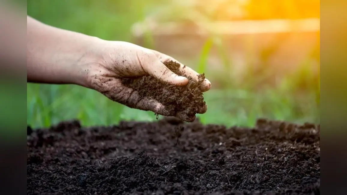 World Soil Day 2023: विश्व मृदा दिवस क्यों मनाया जाता है? जानिए इसका इतिहास, महत्व और इस साल का थीम