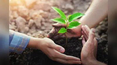 11 हजार किसान स्वाॅयल हेल्थ कार्ड से होंगे लैस