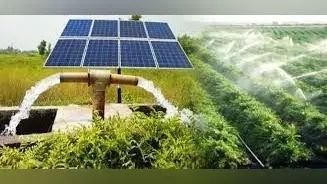 Jharkhand News : किसानों को 90 फीसदी अनुदान पर मिलनेवाले सोलर पंप मामले में जांच समिति गठित, पढ़िए पेयजल एवं स्वच्छता मंत्री ने क्यों दिया जांच का आदेश ?